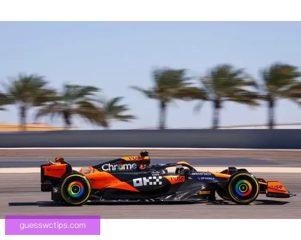 F1赛场焦点德弗里斯赛季表现与未来潜力全面解析